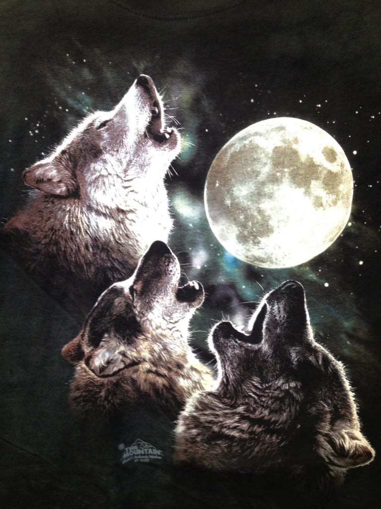 MOON WOLF EMBROIDERED SHIRT NATIVE AMERICAN LOOKING 